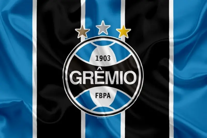 Como comprar ingresso para o jogo do Grêmio? Veja 8 dicas!